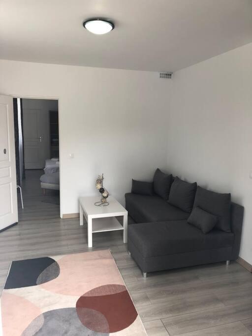 Top Appartement 10 Minutes De Disney Chessy  Zewnętrze zdjęcie